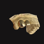 Load image into Gallery viewer, Two teeth in 9kt Gold
