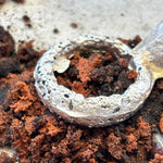 Load image into Gallery viewer, Sand Casting Taster- 2.5 hr
