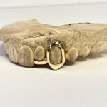 Load image into Gallery viewer, Two teeth in 9kt Gold

